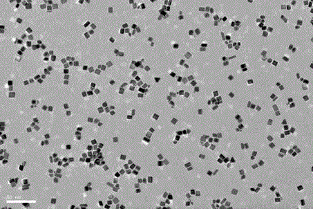 Poly-allylamine oriented platinum nano cube preparation method