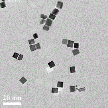 Poly-allylamine oriented platinum nano cube preparation method