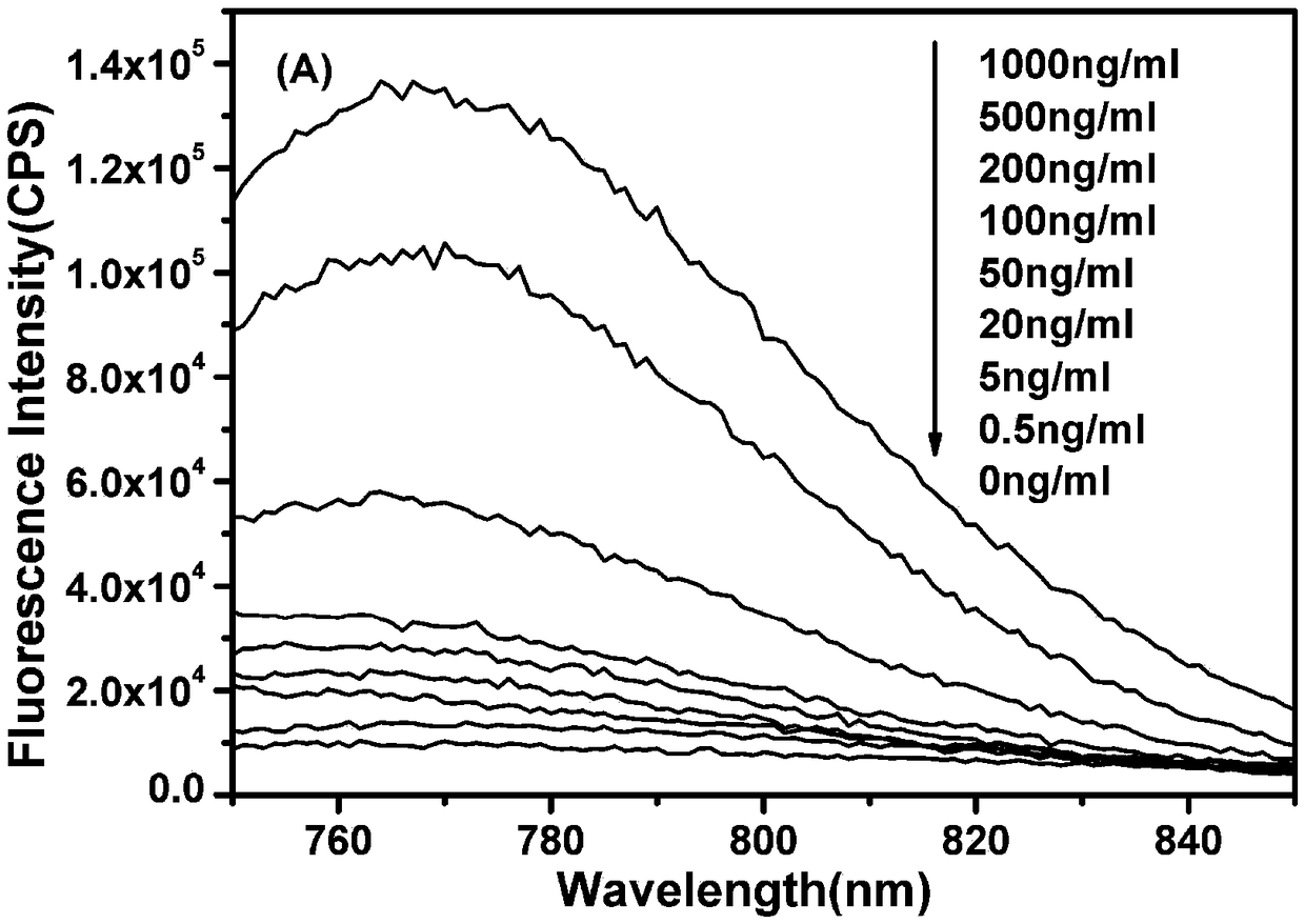 Fluorescent silver nanometer cluster with stable nucleic acid, and preparation method and application thereof to toxin detection