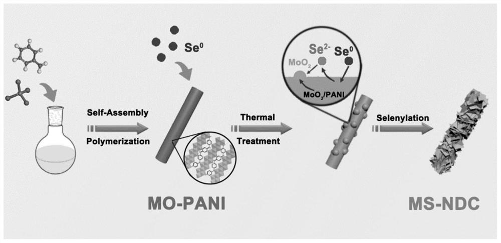 Solid-phase cothermal synthesis of molybdenum diselenide/nitrogen-doped carbon rods