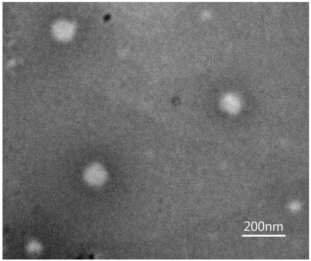 A kind of wedelia lactone nano-liposome jointly modified with chitosan and polyethylene glycol and preparation method thereof