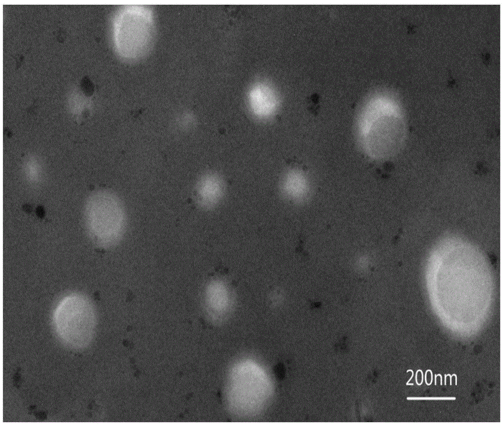 A kind of wedelia lactone nano-liposome jointly modified with chitosan and polyethylene glycol and preparation method thereof