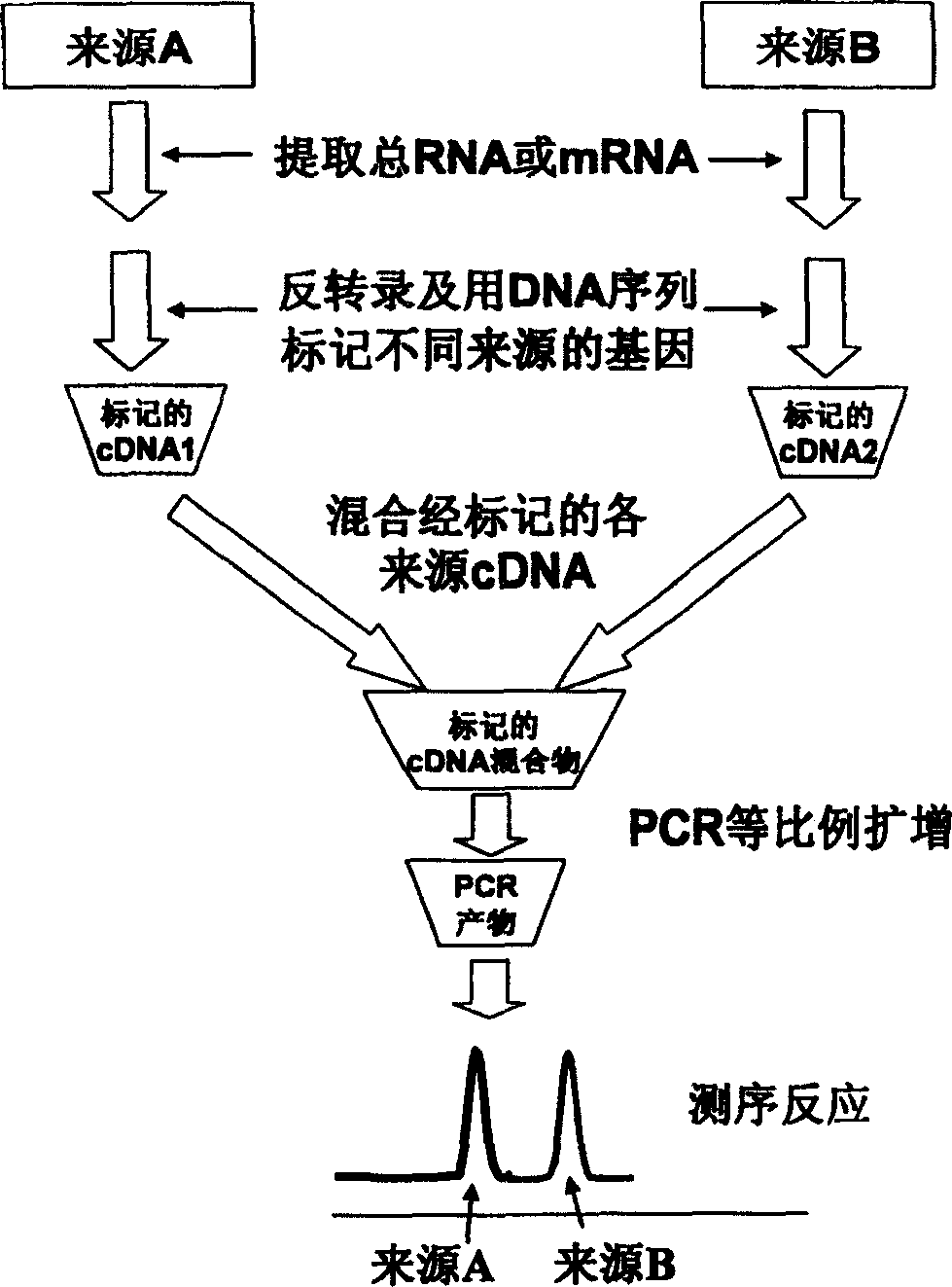 Method for comparing expression amount of idential gene in different origin using base sequence determination method