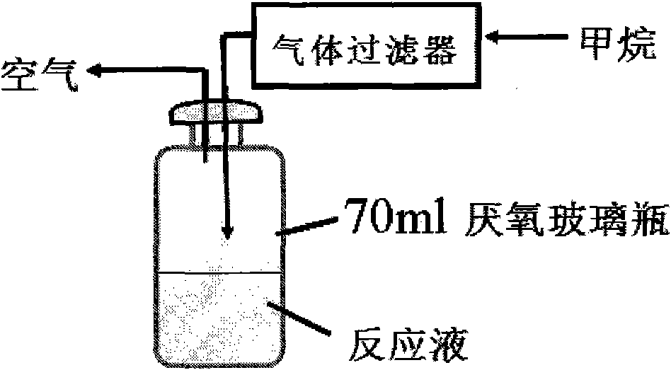 Method for producing methanol by methane bioconversion