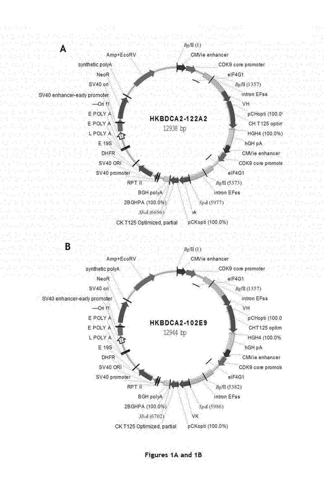 Anti-cd303 monoclonal antibodies