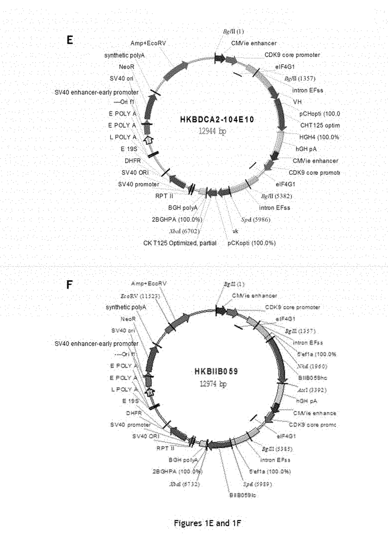 Anti-cd303 monoclonal antibodies