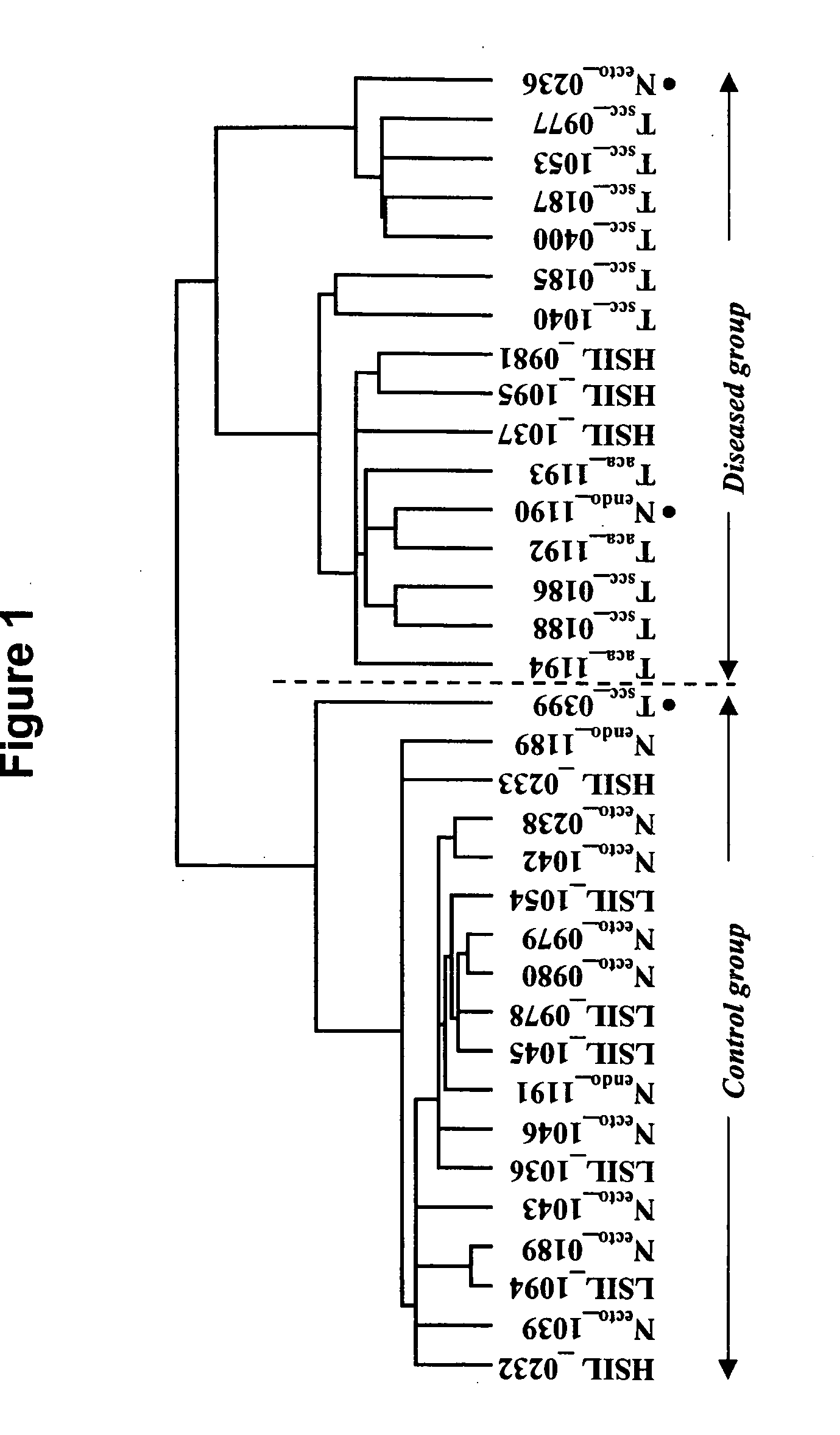 Compositions, kits, and methods for identification, assessment, prevention, and therapy of cervical cancer