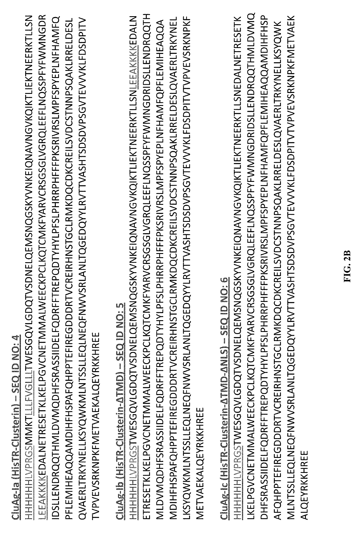 Recombinant clusterin and use thereof in the treatment and prevention of disease