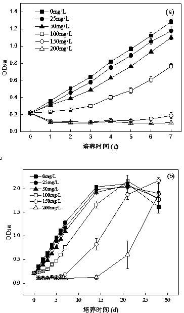 Extraction method of allelochemical substance resisting microalgae from ruppia maritima and application of allelochemical substance
