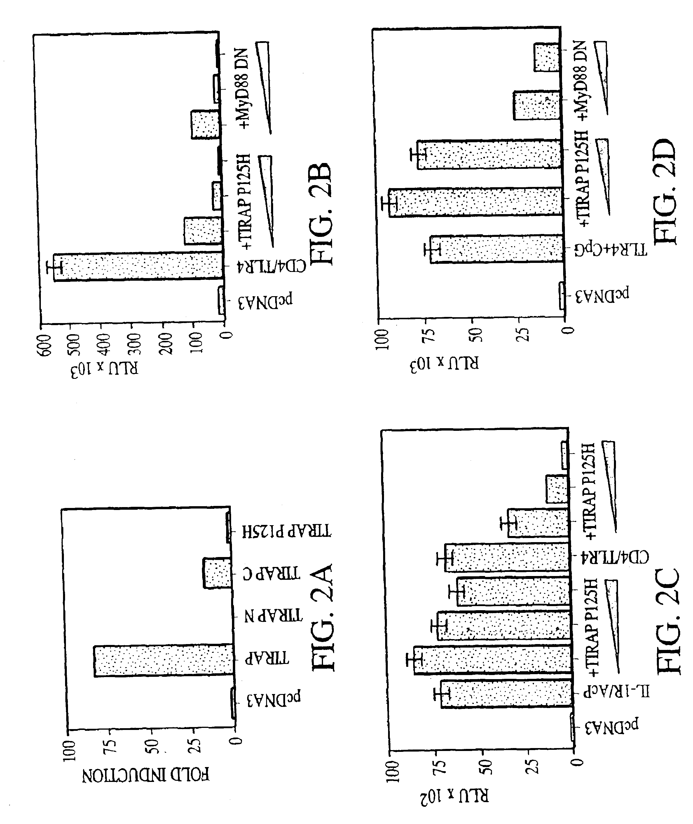 Toll/interleukin-1 receptor adapter protein (TIRAP)