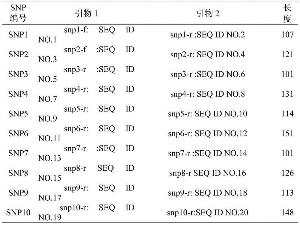 Single nucleotide polymorphism (SNP) molecular markers and method for pork DNA tracing by high resolution melting (HRM) method