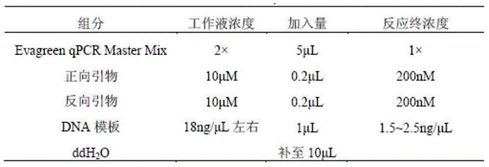 Single nucleotide polymorphism (SNP) molecular markers and method for pork DNA tracing by high resolution melting (HRM) method