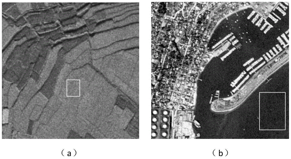 Speckle Suppression Method for SAR Image Based on Noise Distribution Constraint in Sparse Domain