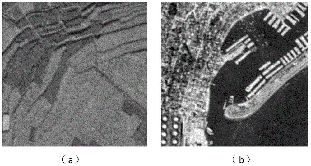 Speckle Suppression Method for SAR Image Based on Noise Distribution Constraint in Sparse Domain