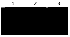 Preparation method of shiga-like toxin Stx1B oral vaccine and product of shiga-like toxin Stx1B oral vaccine