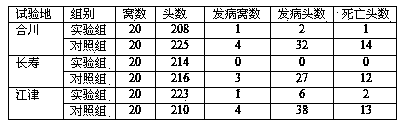 Preparation method of shiga-like toxin Stx1B oral vaccine and product of shiga-like toxin Stx1B oral vaccine