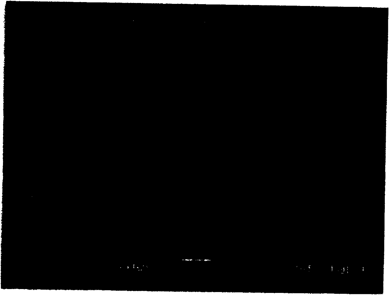 Method for preparing nano-scale lithium carbonate for battery