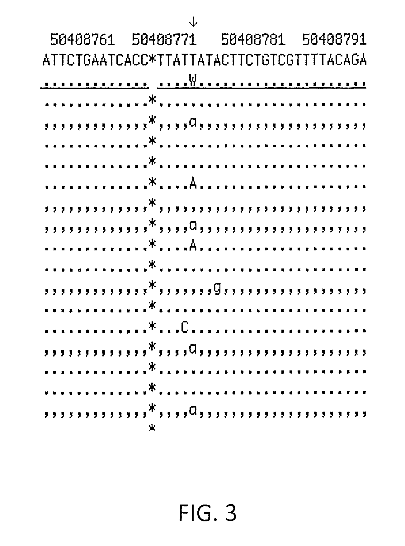 Systems and methods for diagnosing a predisposition to develop colon cancer