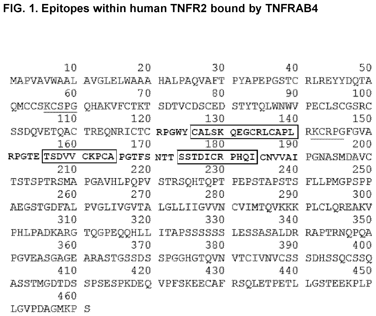 Antagonistic Anti-tumor necrosis factor receptor superfamily polypeptides