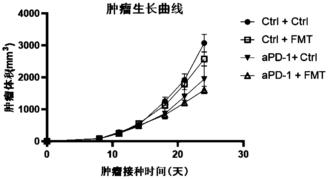 Application of human symbiotic florae in improving response of tumors to immunotherapy