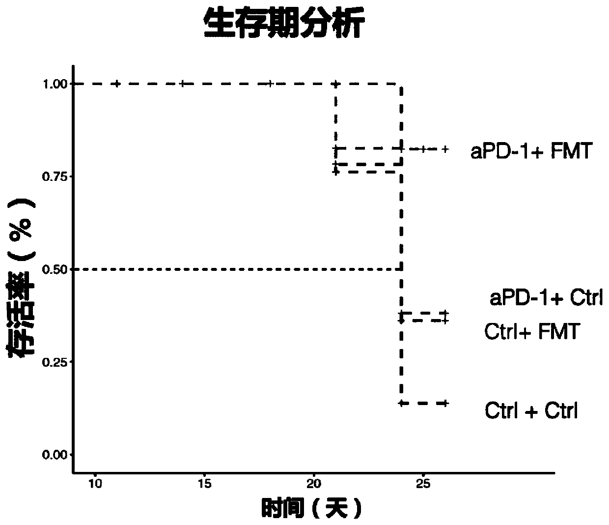 Application of human symbiotic florae in improving response of tumors to immunotherapy