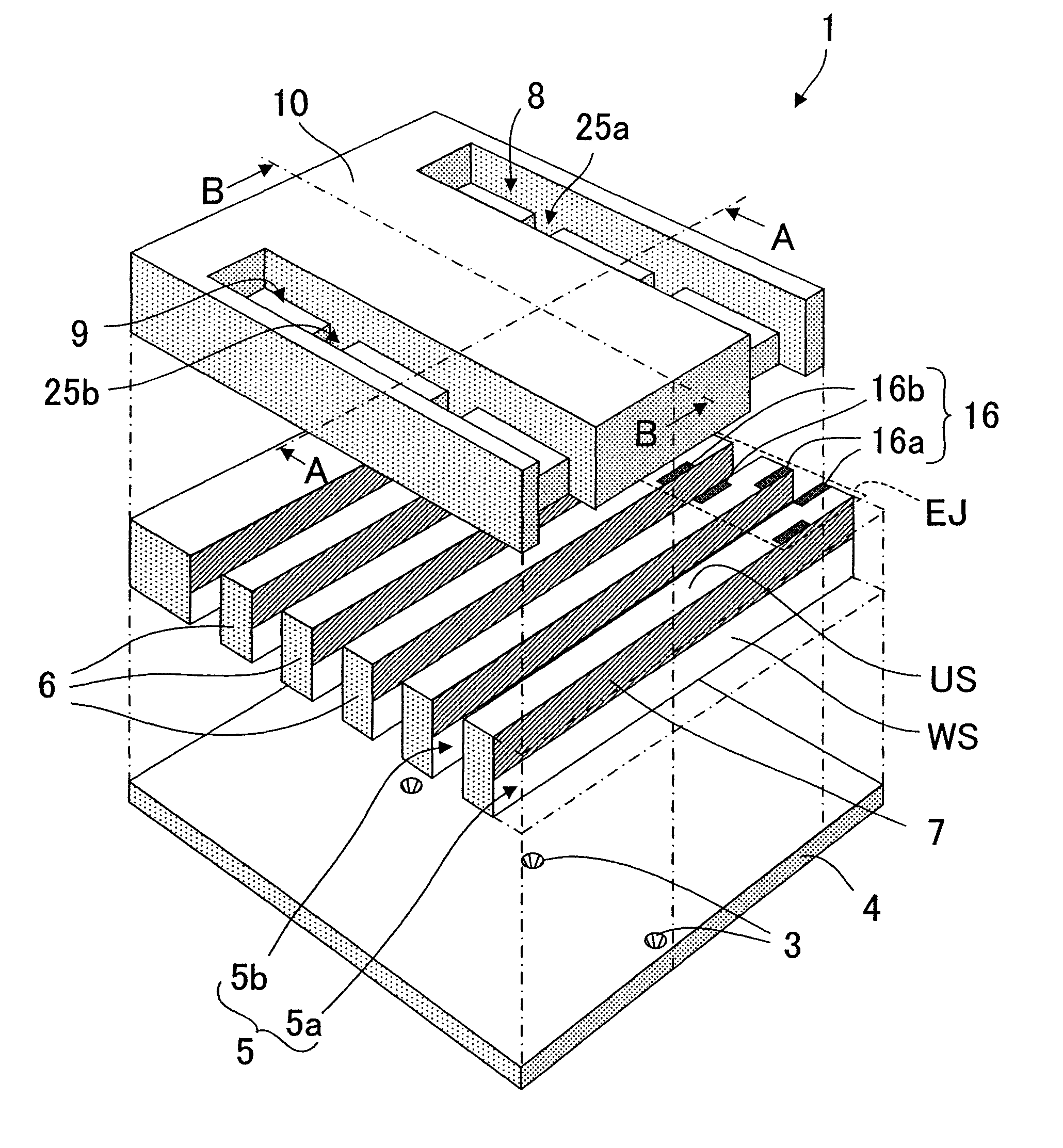 Liquid jet head, liquid jet apparatus, and method of manufacturing liquid jet head