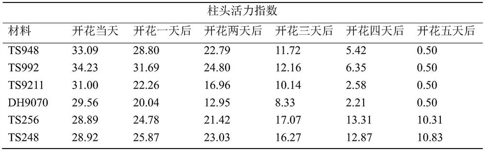 Method for rapidly determining vitality of rice stigma