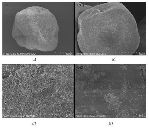 Preparation method and application of composite magnetic chitosan adsorption material