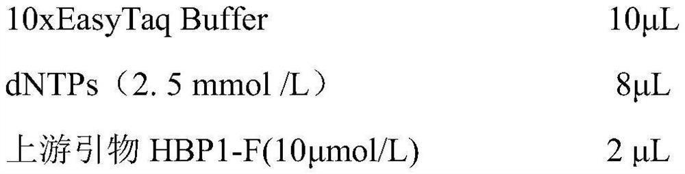 A molecular marker method for predicting and identifying chicken belly fat mass and its application