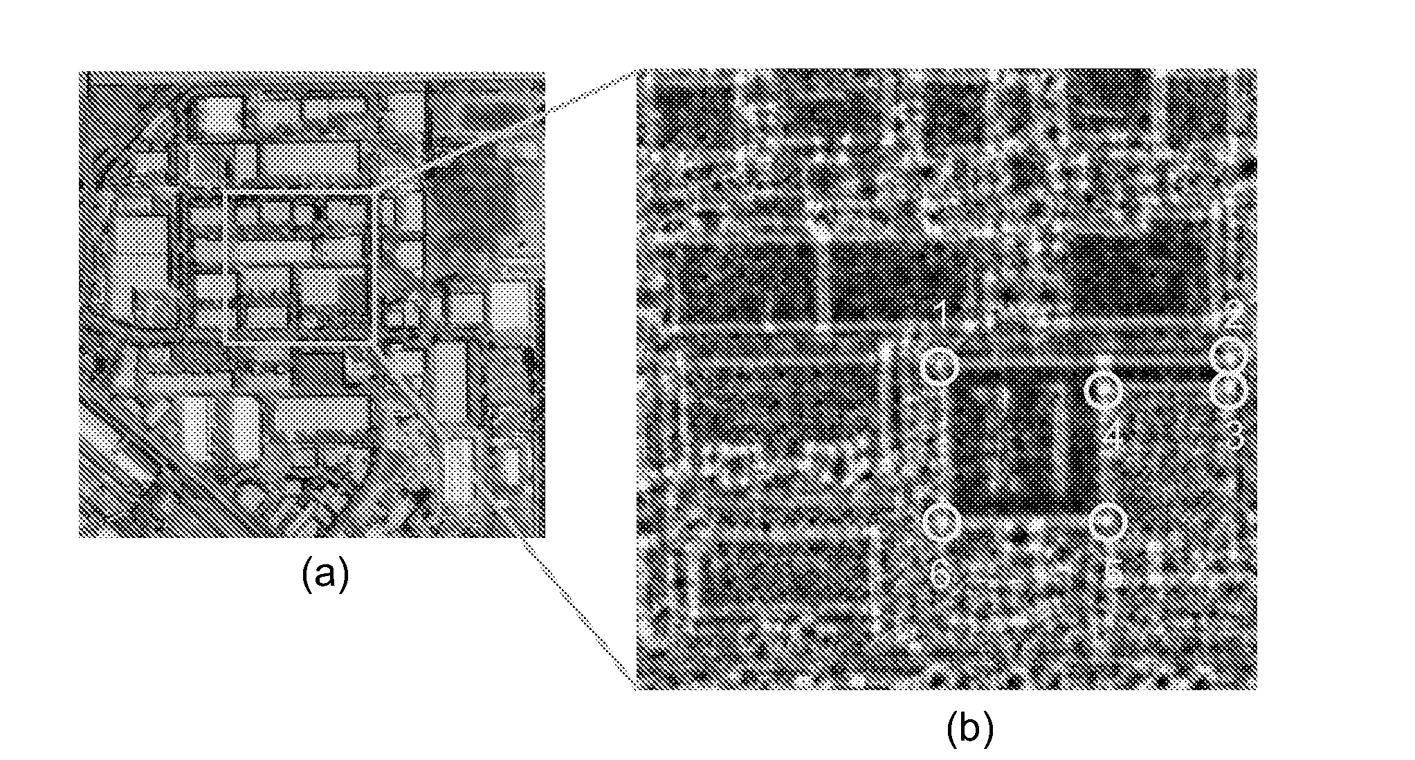 Method and System for detecting polygon Boundaries of structures in images as particle tracks through fields of corners and pixel gradients