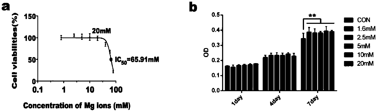 High-magnesium microenvironment bone marrow stem cell microsphere carrier as well as preparation method and application thereof