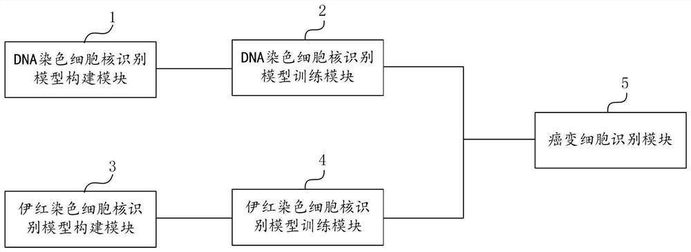 Cancerous cell detection method and system