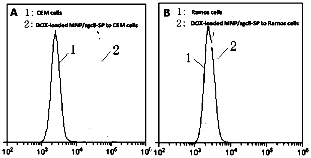 A kind of multifunctional magnetic dna nanosphere and its preparation method and application