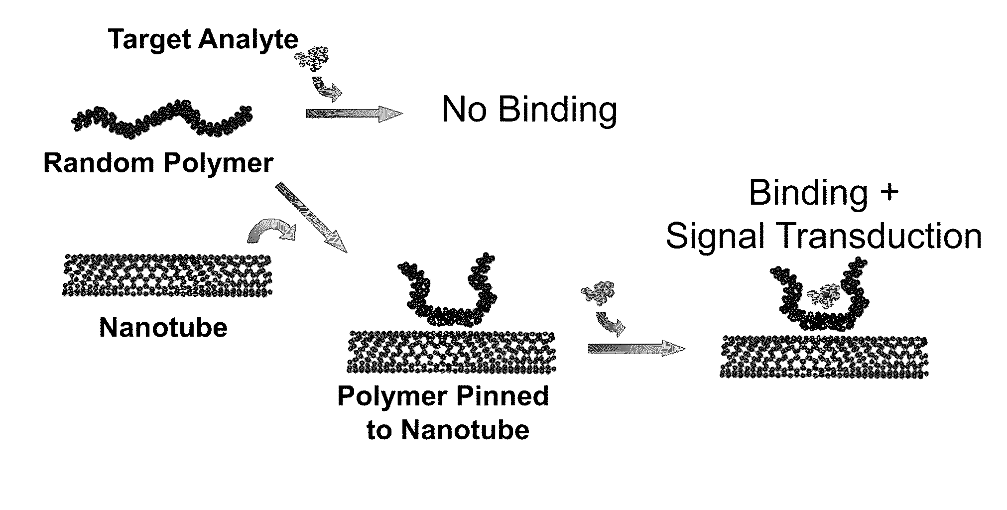Polymer-nanostructure composition for selective molecular recognition