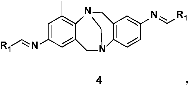 Bi-heterocycle aldolase-2,8-diamino-Troger's Base Schiff base catalyst and preparation method