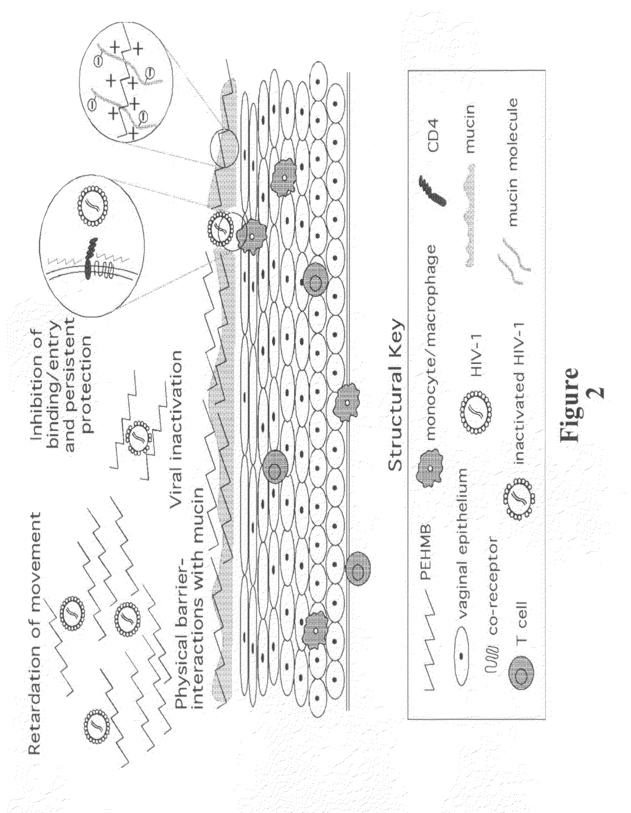 Method for the treatment or prevention of virus infection using polybiguanide-based compounds