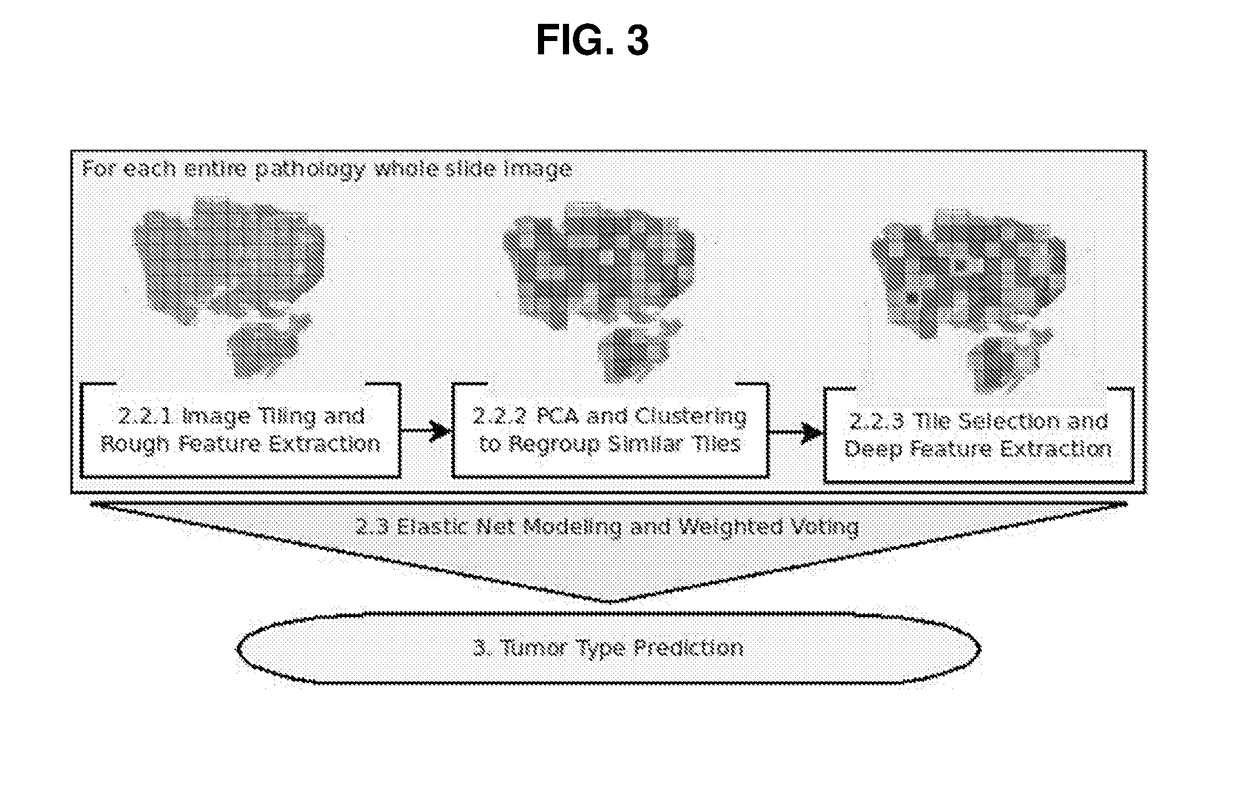Profiling of Pathology Images for Clinical Applications