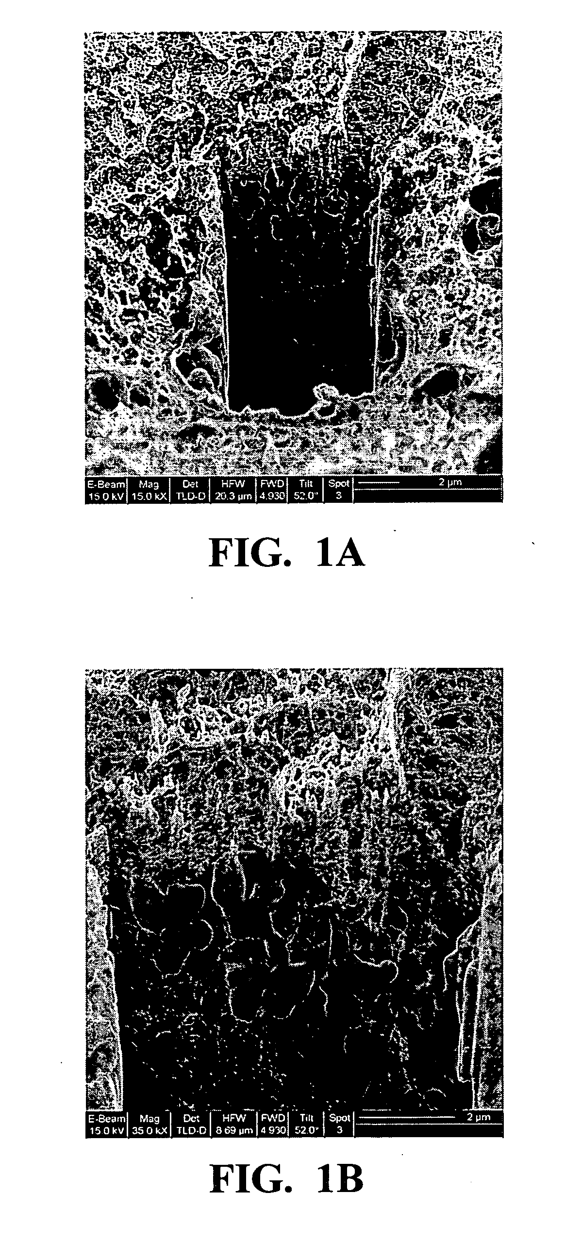 Method for providing resistance to biofouling in a porous support