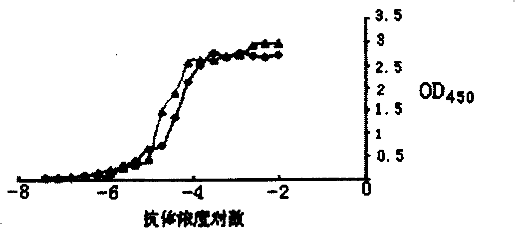 Preparation method of CYP1A2 polypeptide and antihuman CYP1A2 polypeptide antibody