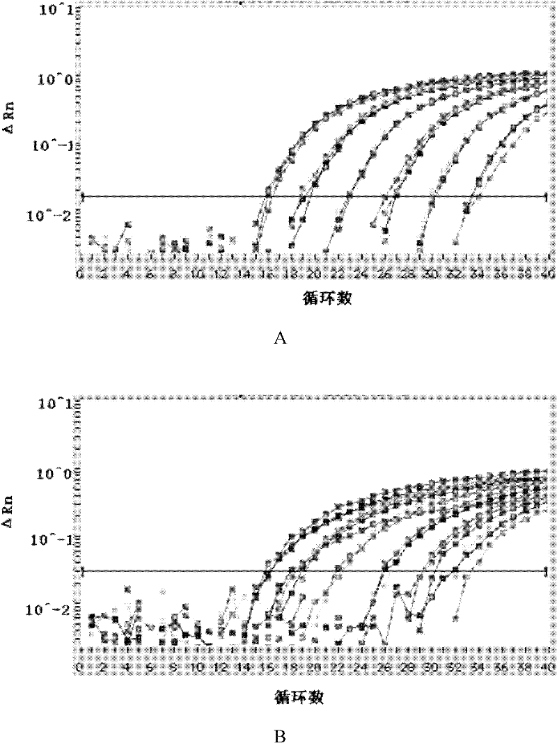 Real-time fluorescence PCR detection method and kit for sudden death syndrome virus of soybean