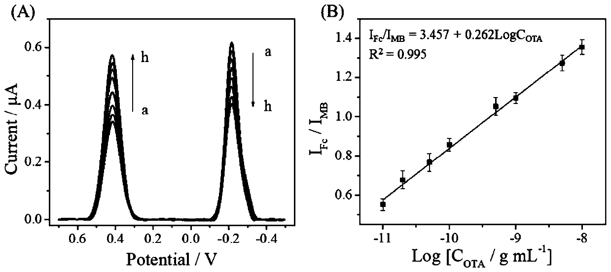 Ratio electrochemical detection method of ochratoxin A