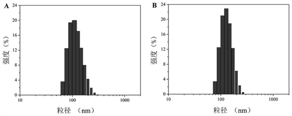 A reduction/pH-sensitive polysaccharide-based nano-prodrug co-loaded with doxorubicin and platinum drugs, its preparation method and application