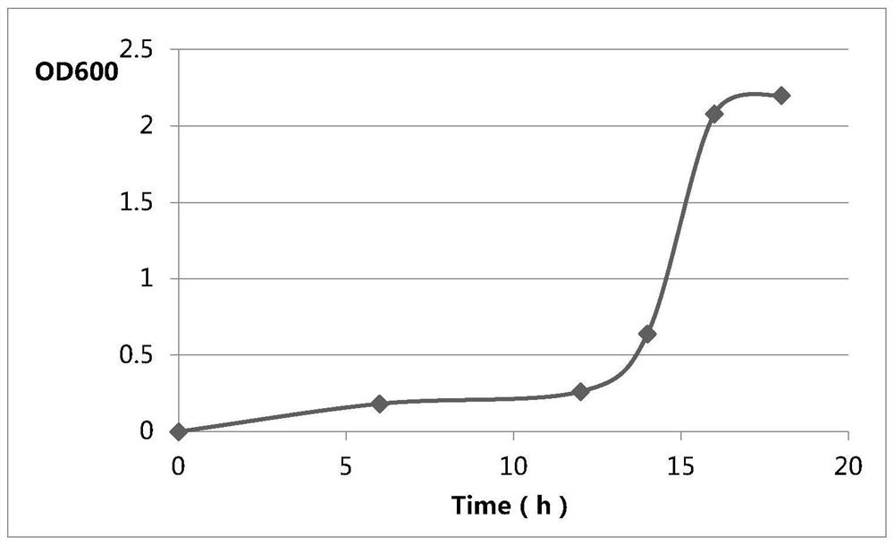 Bifidobacterium longum mutant strain H8