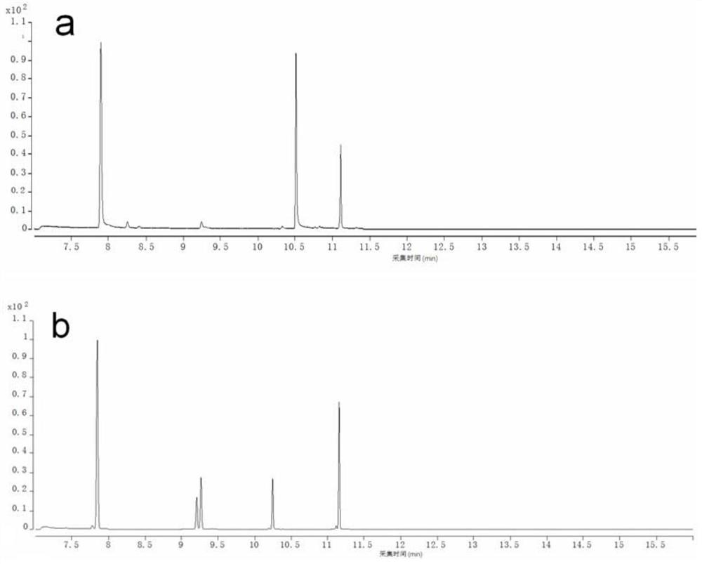 Detection of short-chain fatty acids in mouse gut-brain axis-related tissue samples based on gc-ms