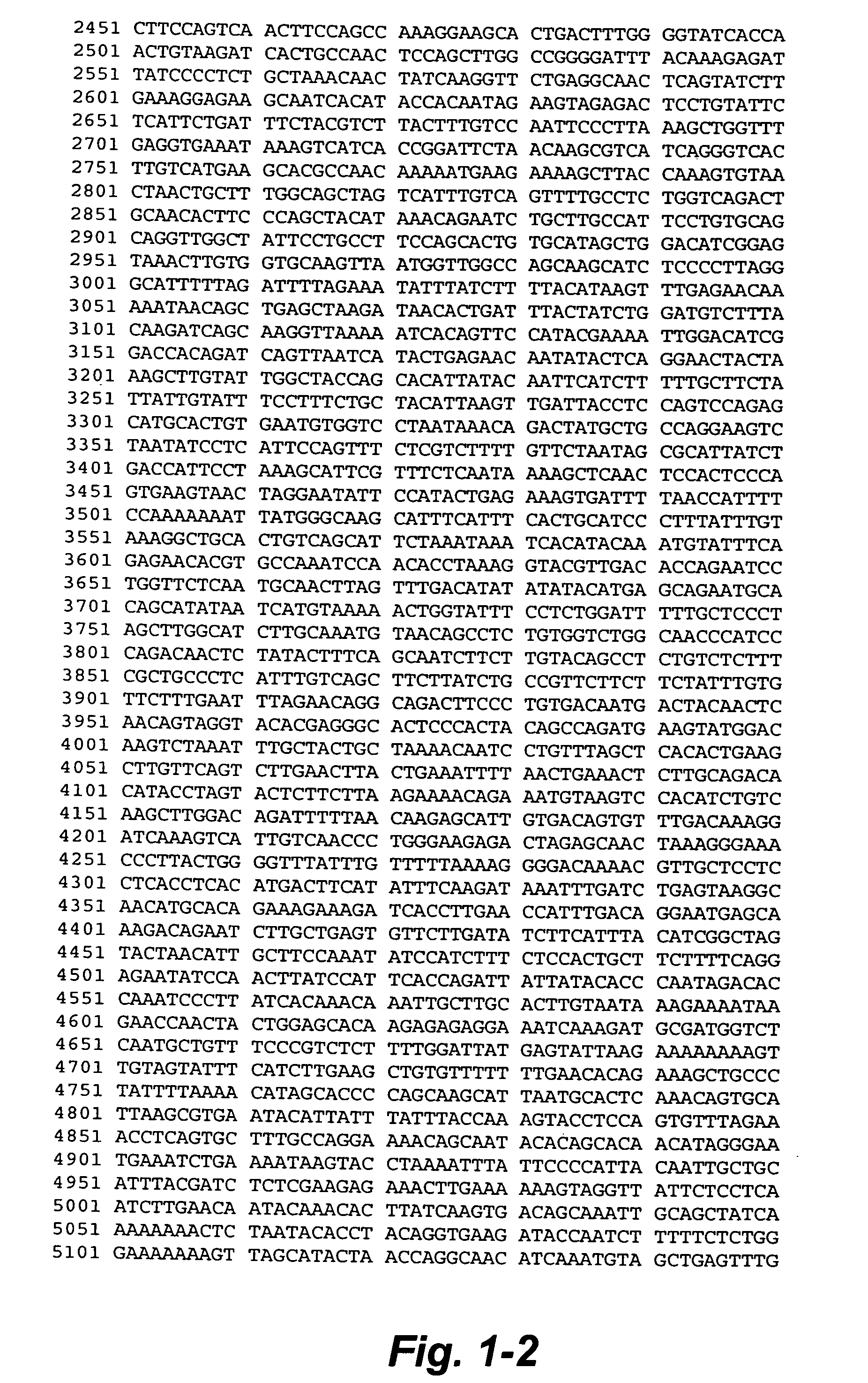 Avian transgenesis using an ovalbumin nucleotide sequence