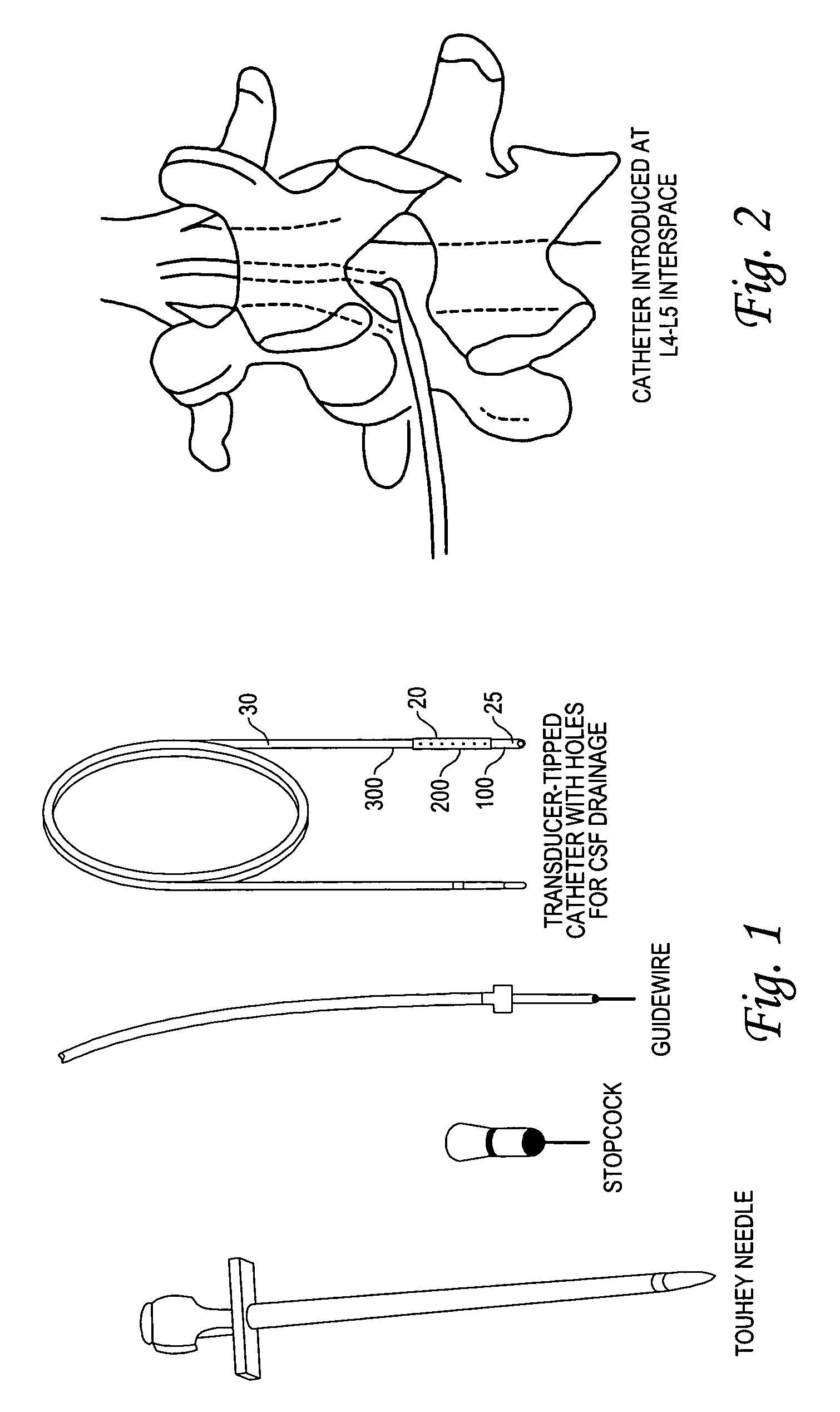 System and method for monitoring and delivering therapeutics to the spinal cord