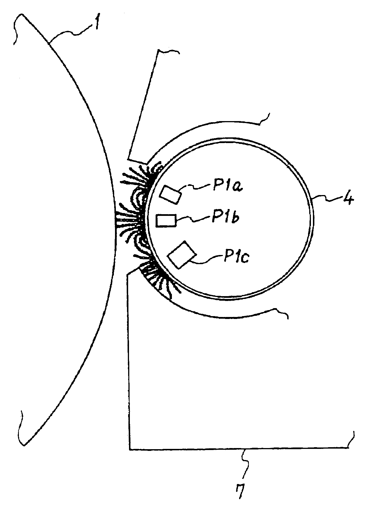 Developing device having a developer forming a magnet brush