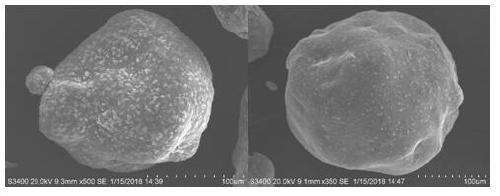 Preparation method of magnetic chitosan-based adsorbent