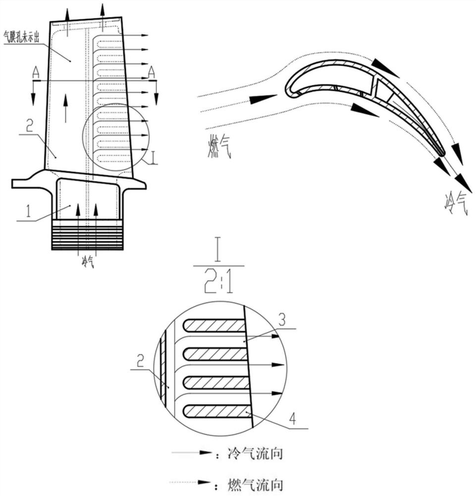 Turbine blade adopting chordwise rotary cooling channel