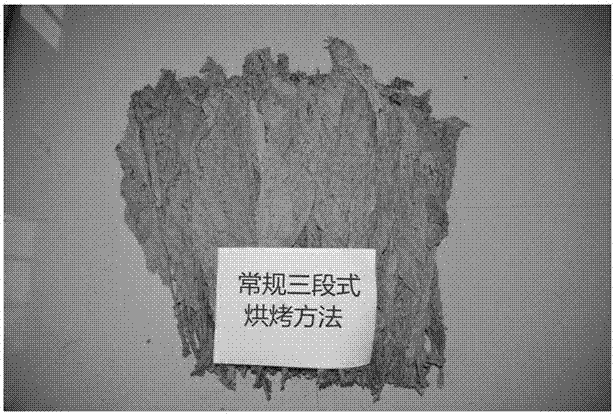 Intensive curing method and its application to reduce ash and black grains on leaves of Yuyan No. 7 tobacco